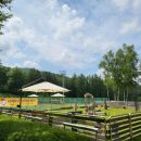 뷰티펫동물병원 이미지