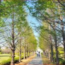 유엔기념공원주차장 이미지