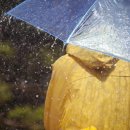 폭우에 젖은 우산, 그냥 두지 말고 ‘이렇게’ 말려야 오래 쓴다 이미지