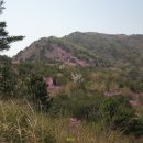 내서읍685 이미지