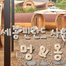 [세종 여행] 세종에 핀란드 사우나가? | 세종 사우나 멍앤몽 후기 | 세종 가볼 만한 곳
