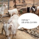 성호농장 이미지