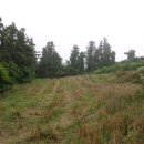 대평리마을회관 이미지