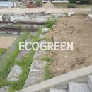 원주초등학교 이미지