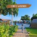 뉴비앤비호텔 | 아이랑 세부여행 막탄 뉴타운비치 이용방법 머큐어막탄 호텔 투숙객 무료 꿀팁