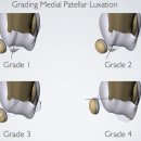 신내동물병원 이미지