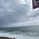 울산 주전패밀리 캠핑장 2박3일 캠핑후기