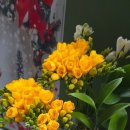 송은농장 이미지