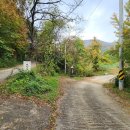 좌항1리 이미지