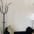 장꽁(카멜리아) 이미지