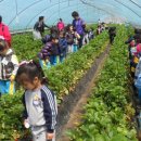 구미초등학교 병설유치원 이미지