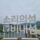 더멍멍 충주점 | [충북/충주] 비내섬 / 무학시장 (주차, 애견동반)