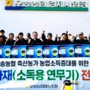 충청 축산 이미지