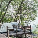 화정항공여행사 투어코리아