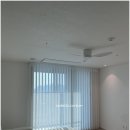 이사벨라세종