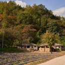 영화5길 이미지