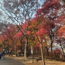 헬로초밥 이미지