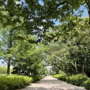 의안로122번안길12 | 대전 뚜벅이여행 1박 2일 코스_2일짜리인데 당일치기 같은 둔산동 파먹기 여행코스