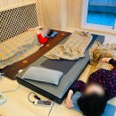 홈포레스트 이미지