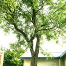 추정2리 이미지