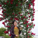 복희 농장 이미지