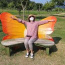 황산공원 미니기차 이미지