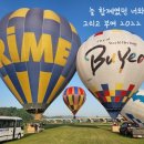 빛카센타 이미지