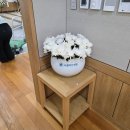 아산6호 | 서울아산병원장례식장 제단꽃장식 6호 진행 후기