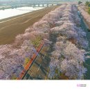흥무로1(가운데) 티스토리