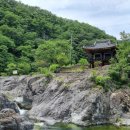 팔자좋은강아지 이미지