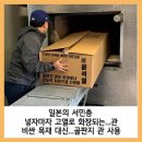 죽으면 골판지도 아까운 사람, 이미지