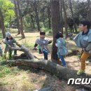 풀빛공원 유아숲체험원 이미지