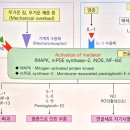 하중약국 이미지