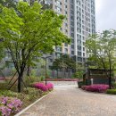 일양교회 | NIW EB2 인터뷰 후기