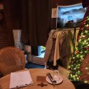 [서울 익선동] 종로 와인바 박학다식에서 소꼬리와인찜, 감베로니 파스타, 띤또 데 베라노 먹은 후기