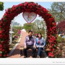 부부농산 - 무안군 동목장길 29-24 | 부부농산