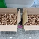 금파농장 이미지