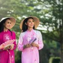 자유행정사사무소 이미지