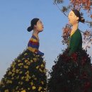 마산F.S | 마산국화축제