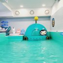 옥토넛키즈풀광명소하점