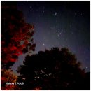 별똥별펜션 | 가평글램핑의 매력을 느낄 수 있는 별똥별글램핑&amp;카라반 후기