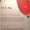 와인터널 티스토리