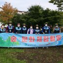 세운그림유치원 이미지