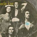 Amboy Duke 1967 / Golden Earring 1973 이미지