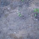 안서농장 이미지