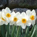 봄날의 헬스클럽 이미지