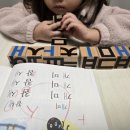 천보초 이미지