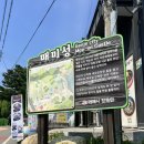 씨유(CU) 거제매미성점 | 거제 가볼만한곳 거제데이트 매미성 주차정보 솔직후기