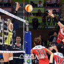 현대인삼 이미지