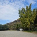 순두부와빈대떡마을 | 🏘 전주여행 1일차(1) : 전주인 추천 화심순두부에서 점심 &amp; 한옥마을 카페 이르리에서 식후커피 솔직후기